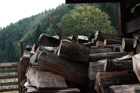 Log Pileの写真素材