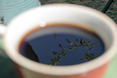 Apple Tree Reflection in Coffee cupの写真素材