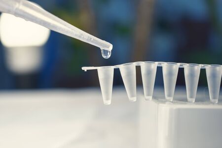 Stem Cell Research with Pipette and vialsの写真素材