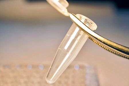 Stem Cell research Objectsの写真素材