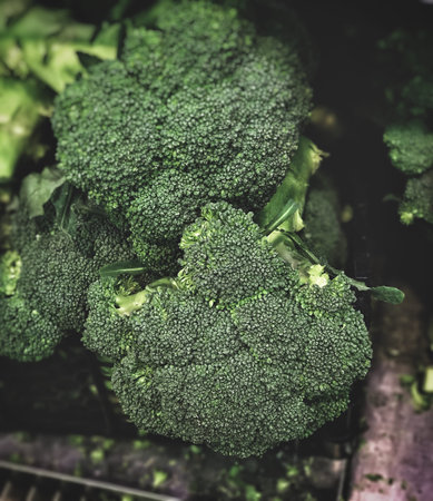 Diet food broccoli raw vegan broccoli colorful green foodの写真素材