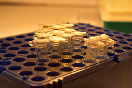 E Coli Research Vials