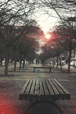 Berlin urban Park Street Benches and Treesの写真素材