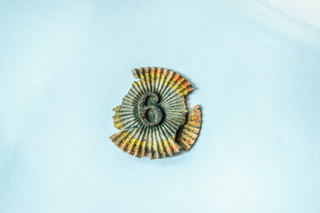 1895 cocarde from romanian uniform used until world war 1