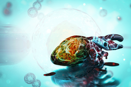 human heart and DNA concept heart disease and health treatments 3d renderingの写真素材