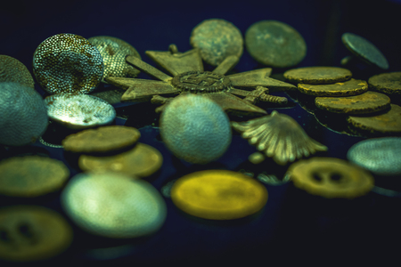 german world war two memorabilia war relics metal detecting finds world war 2 objectsの写真素材