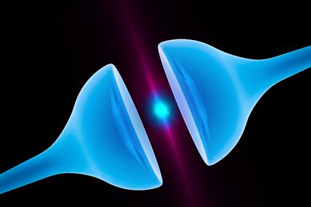Synapse between two neurons neural synapse receptors neuron link neural network 3d renderの写真素材