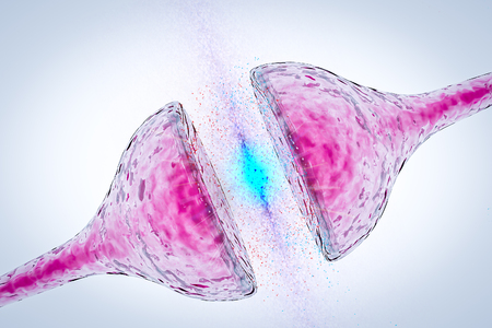 Synapse between two neurons neural synapse receptors neuron link neural network 3d renderの写真素材