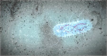 bacteria swimming in medium bacterium concept pili flagella superbug antibiotic  resistant bacteria brain eating amoeba 3d renderingの写真素材