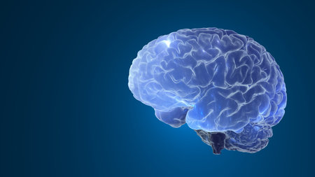 3d brain and heart representing  emotional intelligence