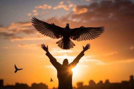 Silhouette pigeon return coming to hands in air vibrant sunlight sunset sunrise backgroundの素材