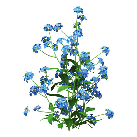 Vibrant blue floral arrangement on white backgroundの写真素材