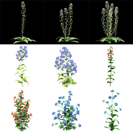 Collection of vibrant flowering plant illustrations.の写真素材