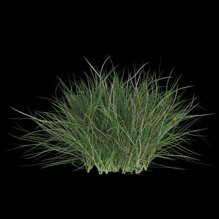 Vibrant green grass against a black backgroundの写真素材