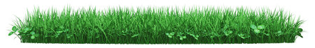 Vibrant green grass with clover patchesの写真素材