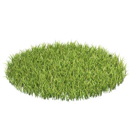 Lush green grass patch isolated on white backgroundの写真素材
