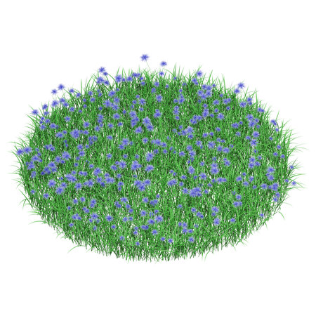 Lush green grass with vibrant flowers.の写真素材