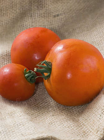 Close up fresh tomato over jute background and selective focusの写真素材