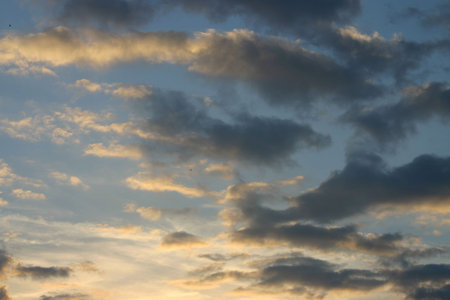 Dark Sunset