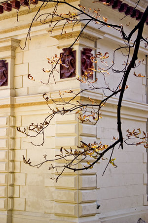 Old Architecture Detailの写真素材