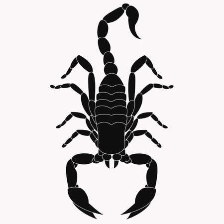 Scorpion vector icon. The symbol of Novemberのイラスト素材