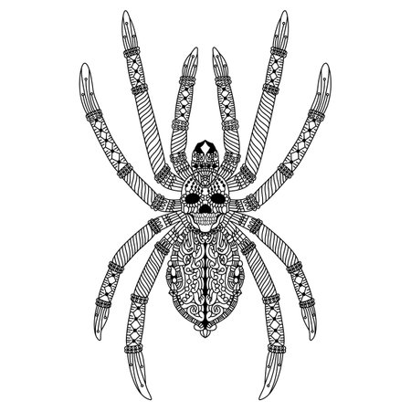 Hand drawn of spider in styleのイラスト素材