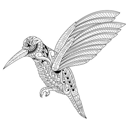 Hand drawn of humming bird in styleのイラスト素材