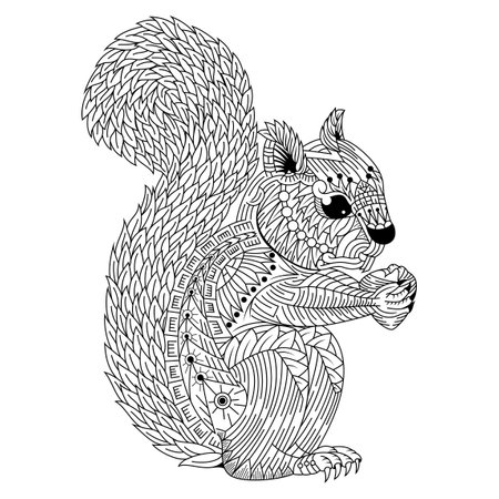 Hand drawn of squirrel in styleのイラスト素材
