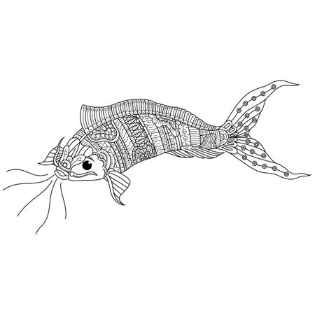 Hand drawn of koi fish in styleのイラスト素材