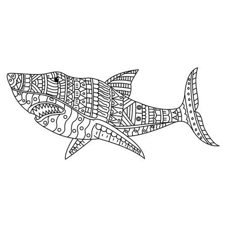 Hand draw of shark in styleのイラスト素材