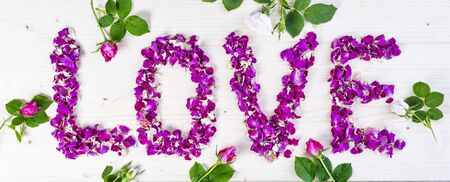 Word Love made of purple rose petals on white backgroundの写真素材