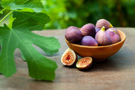 A bowl full of freshly picked figs from the garden. Decorated with fig leaves.の写真素材