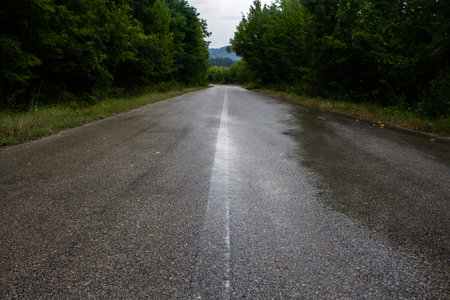Wet straight country road after the rain with no cars