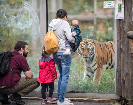 Sofia, Bulgaria, Oct 26 2020:のeditorial素材