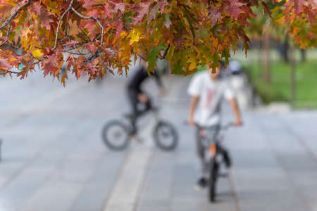 Blurred image of teenagers riding BMX bikes with autumn leaves on focusの写真素材