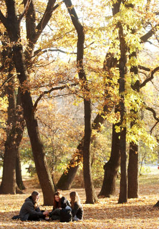 Sofia, Bulgaria - Nov 15 2011: Teenage girls sitting on the ground enjoying the last warm days in autumn in a oak tree forest in Borsiov gardenのeditorial素材