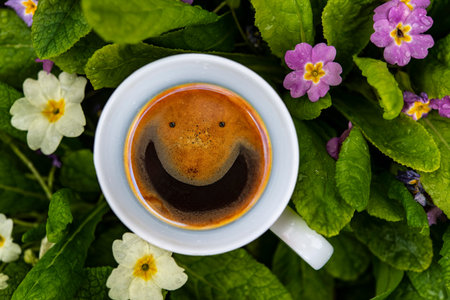 Smiling cup of coffee in a fresh morning gardenの写真素材