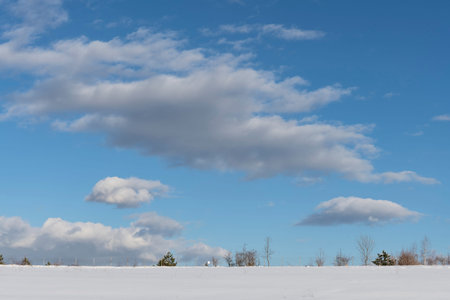 Cloudy blue sky above snow-covered field with tree trunks on the horizonの写真素材