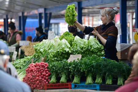 Sofia, Bulgaria - Apr 22 2021: A woman selling lettuce in the Women's marketのeditorial素材