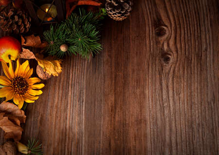 Autumn Decoration Backgroundの写真素材