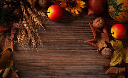 Autumn Decoration Backgroundの写真素材