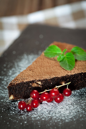Chocolate brownie with mint and currantの写真素材