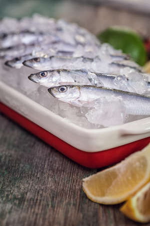 Fresh sardines on iceの写真素材