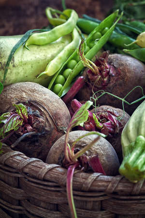Basket with organic vegetables fresh from gardenの写真素材