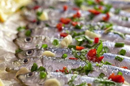 Fresh sardines close upの写真素材