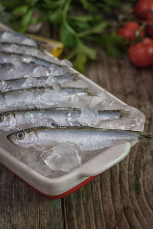 Fresh sardinesの写真素材