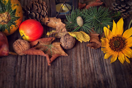 Autumn Decoration Backgroundの写真素材