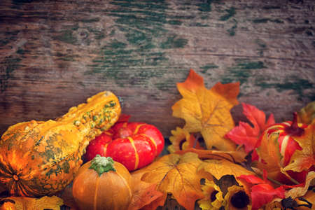 Autumn background with pumpkin and sun flower on wooden tableの写真素材