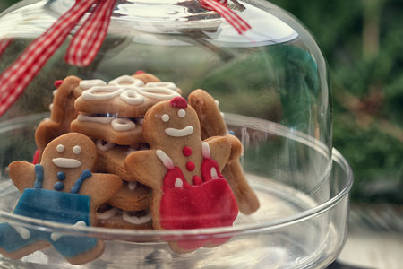 Christmas Gingerbread cookie on glass standの写真素材