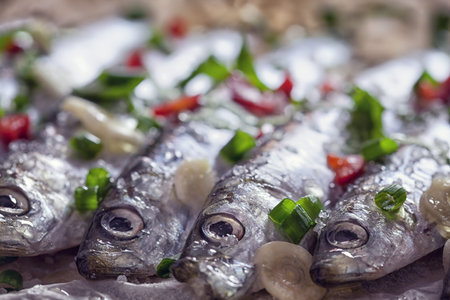 Marinated sardines with fresh herbsの写真素材